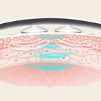 c6da2c54c1de94400895c773e4223cd2